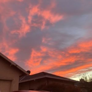 Meet your Posher, Carol